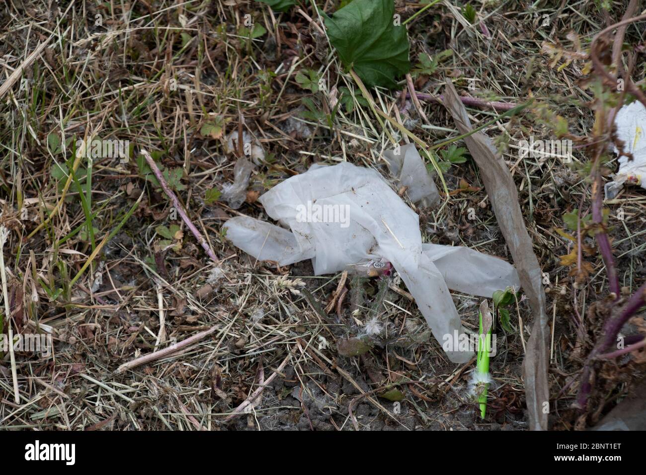 Sheffield UK – 13 2020 mai : gants en caoutchouc blanc abandonnés jetés sur le sol, les EPI protecteurs deviennent la litière pendant le coronavirus Covid-19 pande Banque D'Images