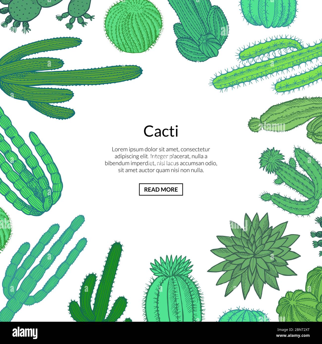 Cactus sauvages dessinés à la main Illustration de Vecteur
