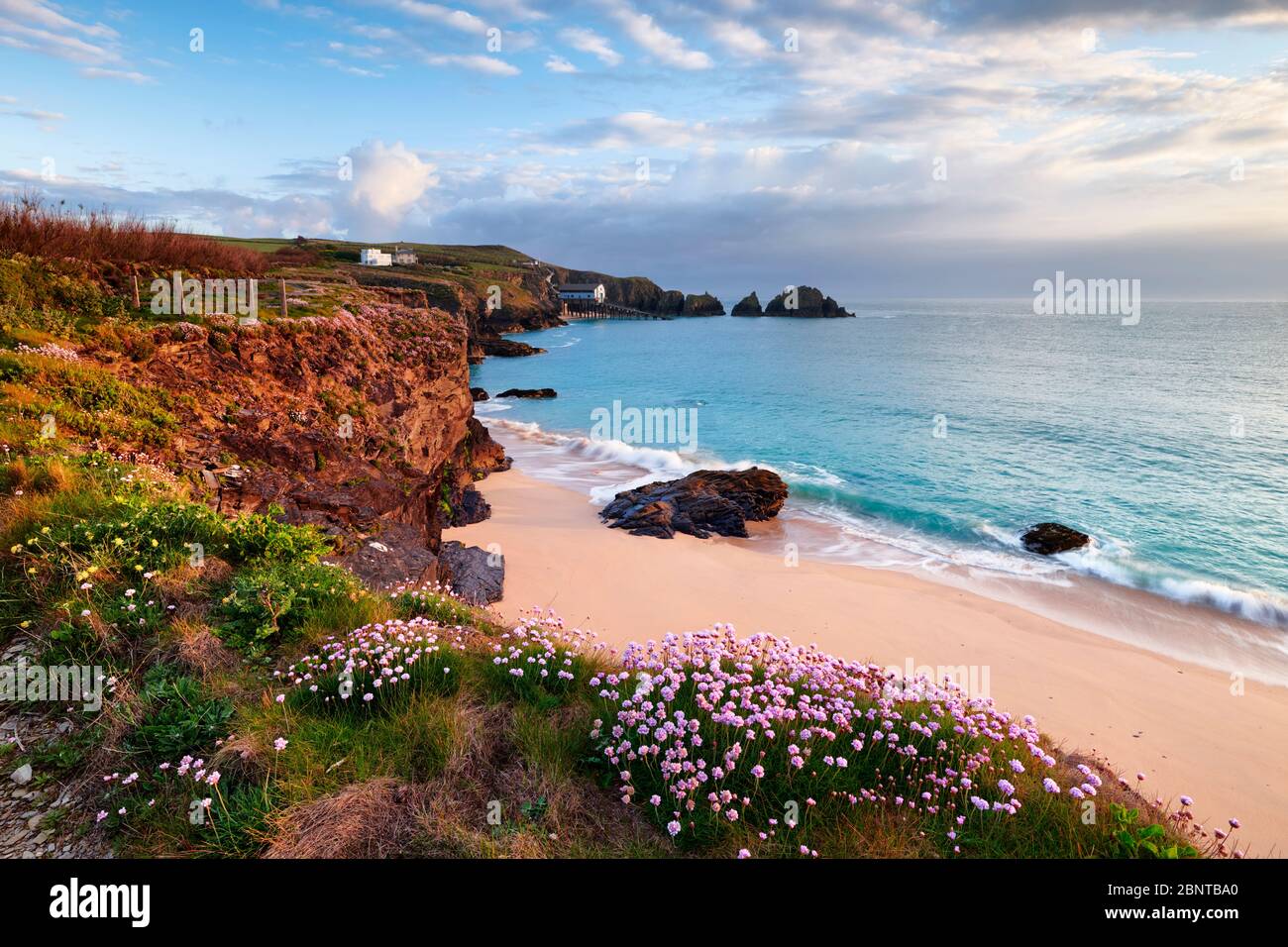 Le printemps le long de la côte cornouaière à Trevose Head, surplombant la baie de Mother Ivey Banque D'Images