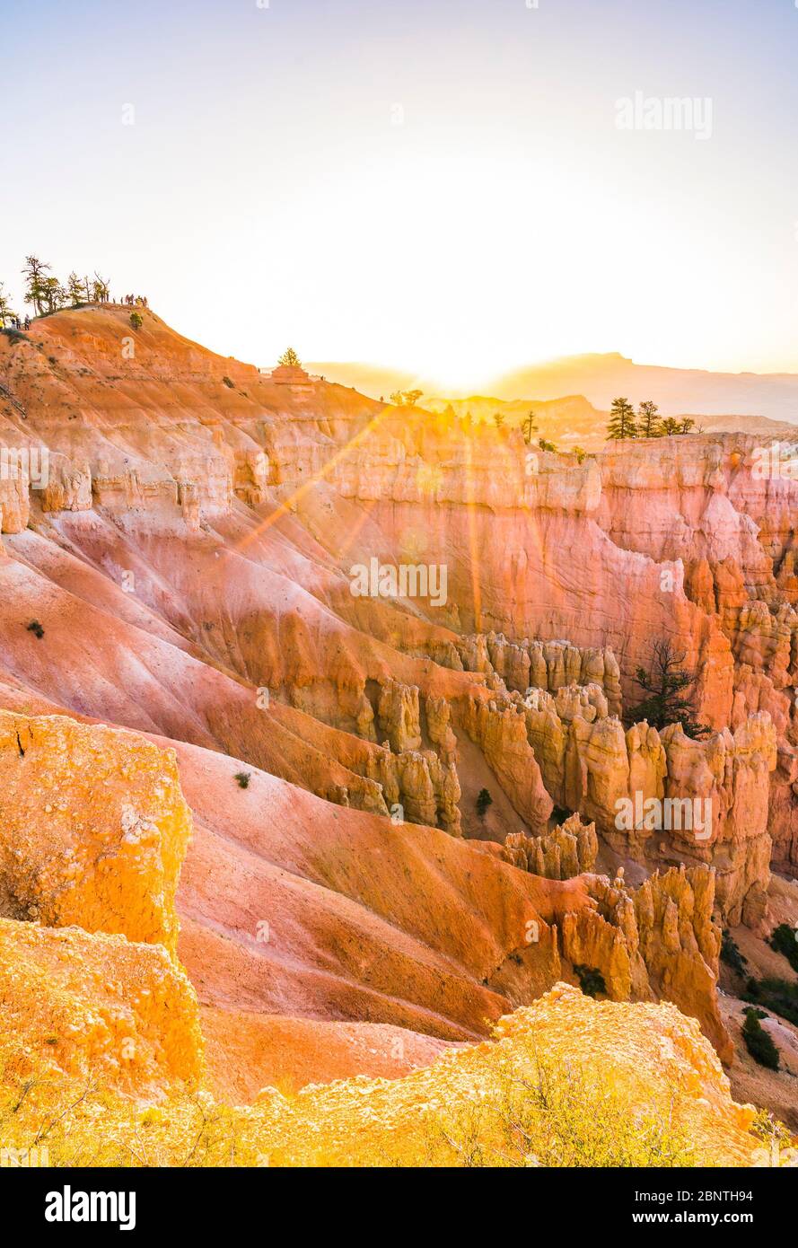 Parc national de Bryce Canyon au coucher du soleil, parc national de Bryce Canyon, Utah, états-unis. Banque D'Images
