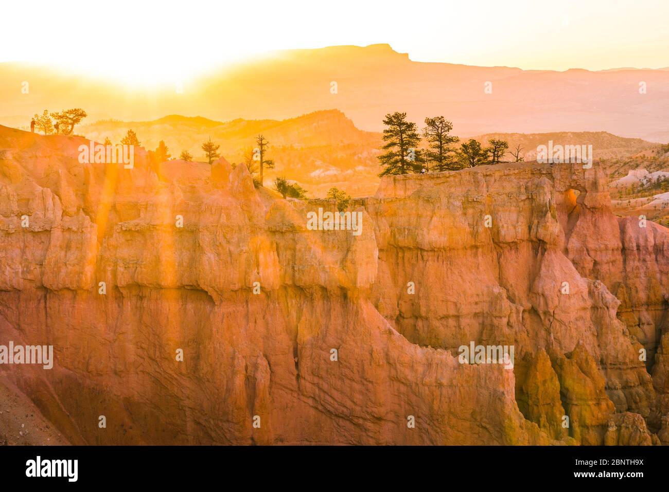 Parc national de Bryce Canyon au coucher du soleil, parc national de Bryce Canyon, Utah, états-unis. Banque D'Images