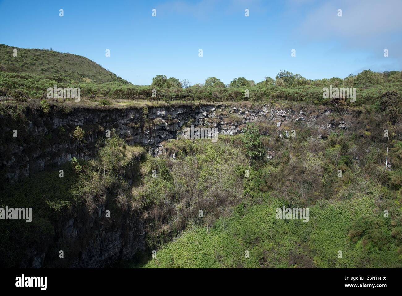 Los Gemelos sont deux chambres magma effondrées sur les hautes terres de Santa Cruz aux îles Galapagos. Banque D'Images