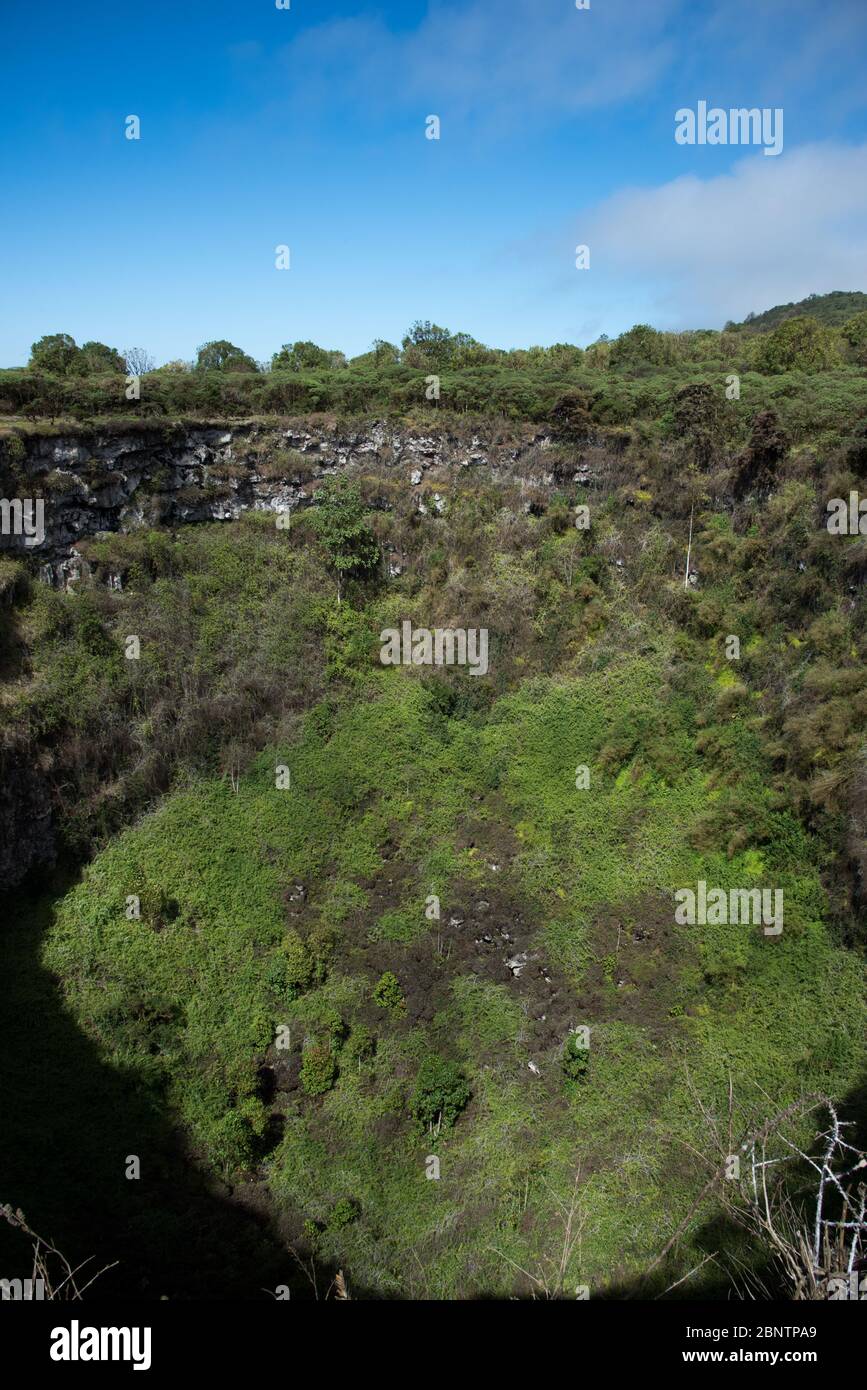 Los Gemelos sont deux chambres magma effondrées sur les hautes terres de Santa Cruz aux îles Galapagos. Banque D'Images