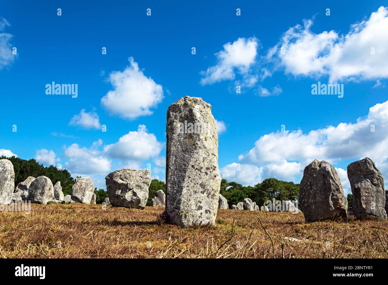 Alignement des menhirs mégalithiques préhistoriques à Carnac, Bretagne. France Banque D'Images