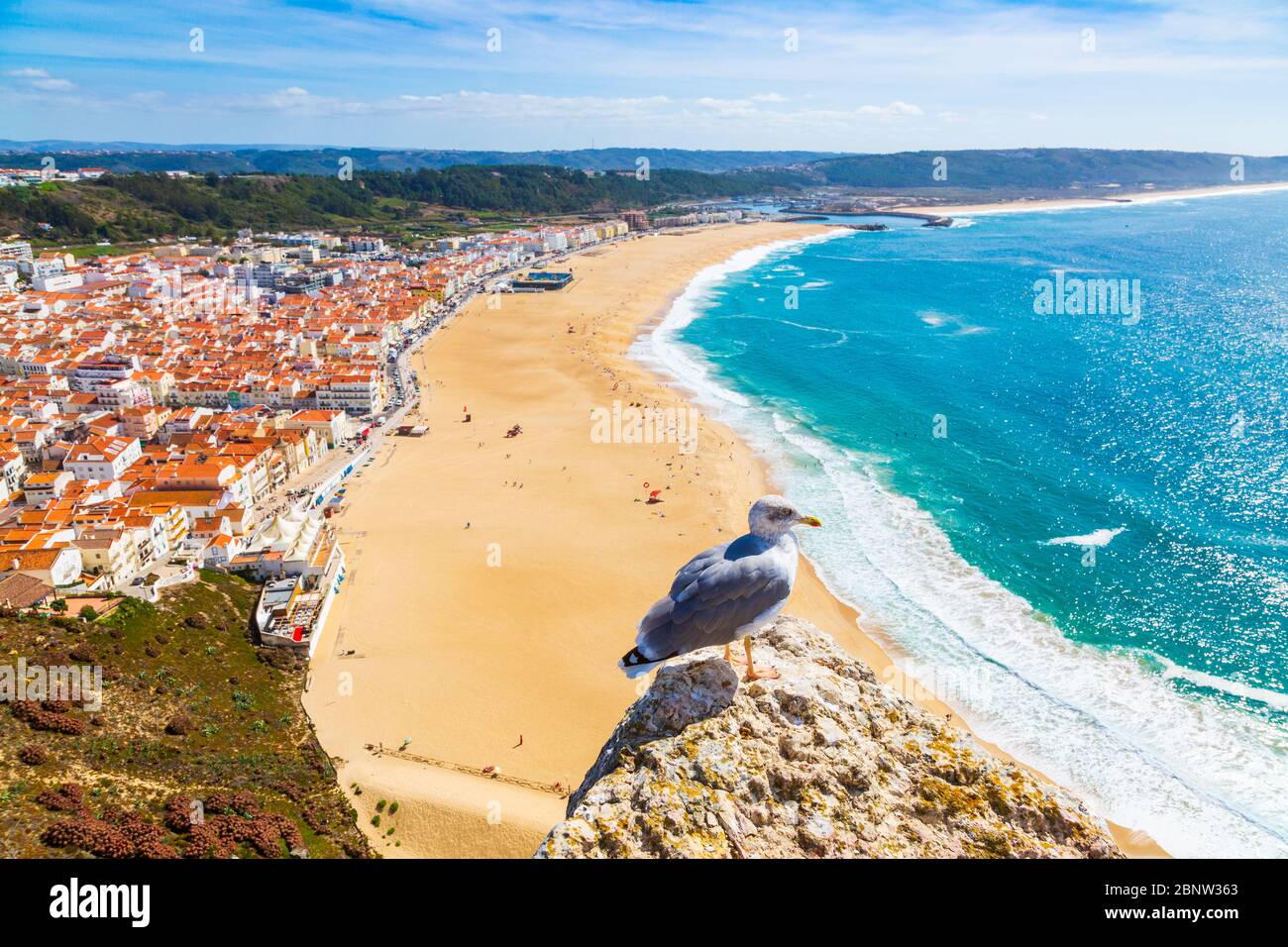 Nazaré, Portugal : Panorama de la ville de Nazaré et de l'océan Atlantique avec oiseau de mouettes en premier plan, vu de la colline de Nazaré Sitio Banque D'Images