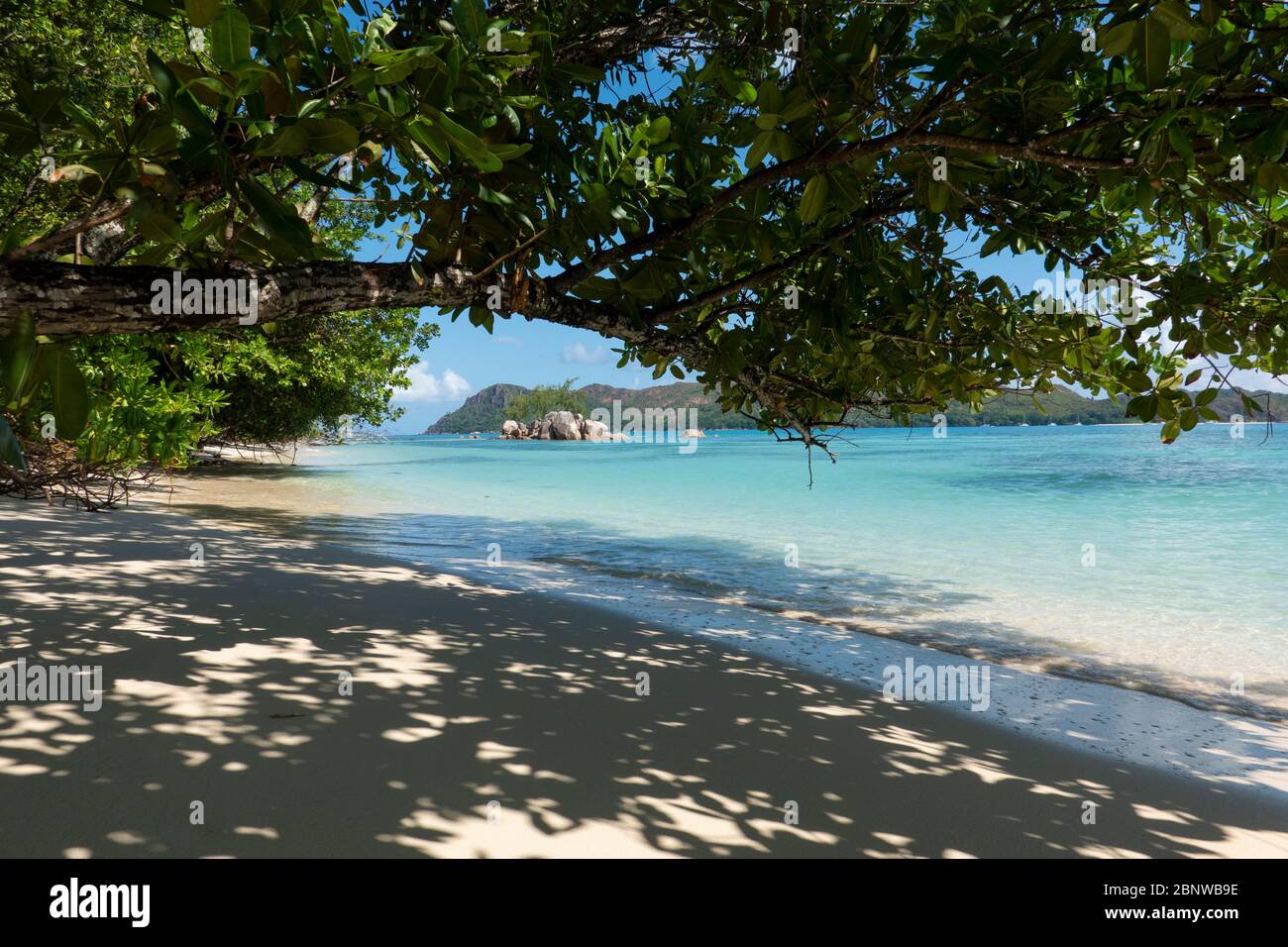 Les Seychelles sont une île archipel de l'océan Indien. Un groupe de 44 îles granitiques et coralines. Un paradis pour les voyageurs Banque D'Images
