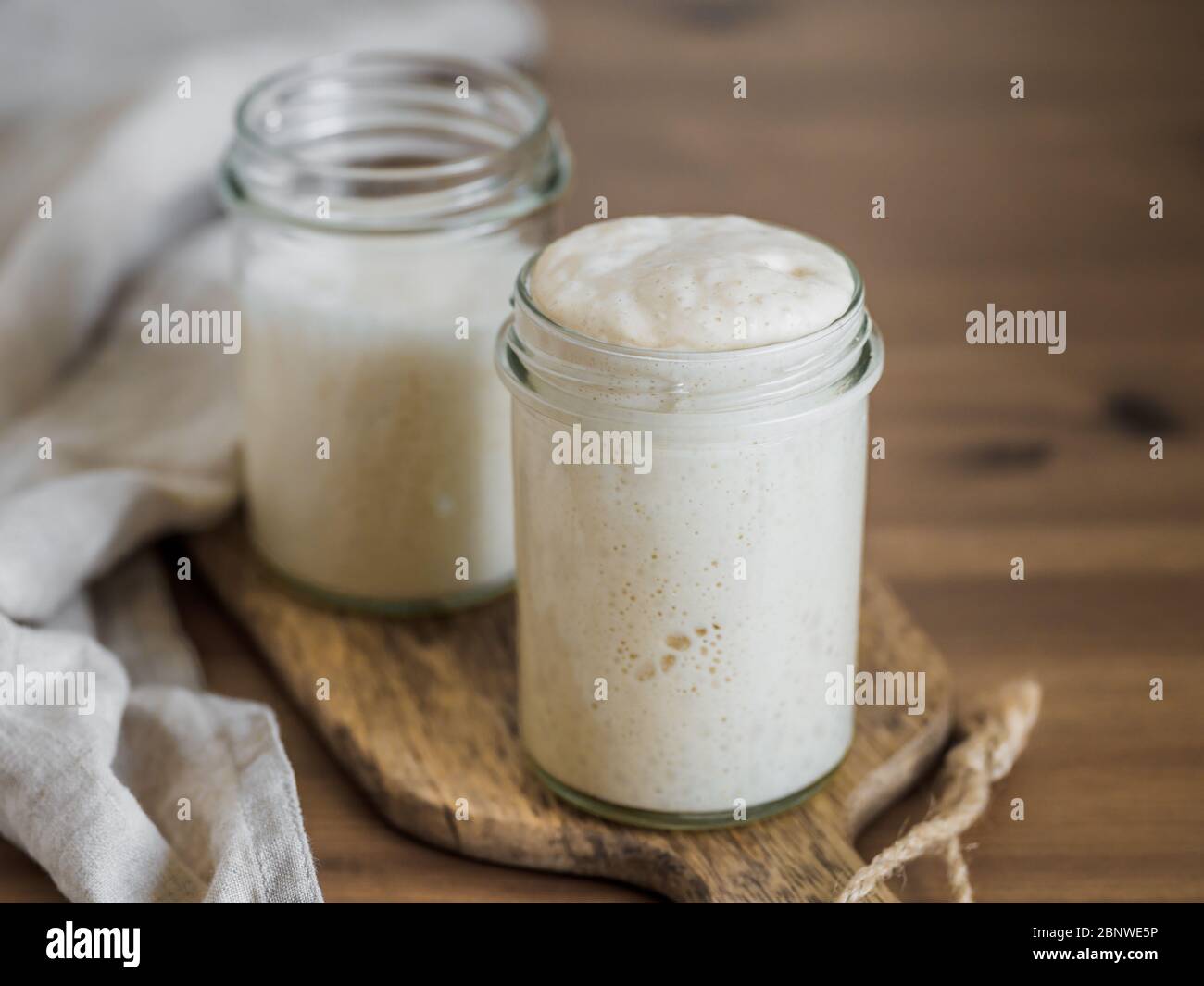 Deux pots en verre avec des démarreurs de levain de blé dans différents niveaux d'hydratation. Starter 100% hydratation en premier plan et Starter avec une hydratation plus élevée en arrière-plan. Copier l'espace Banque D'Images