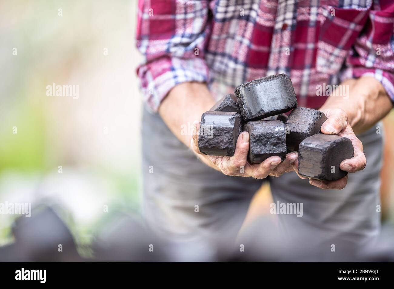 Homme dans une chemise à carreaux contenant des cubes de briquettes de charbon de bois. Banque D'Images