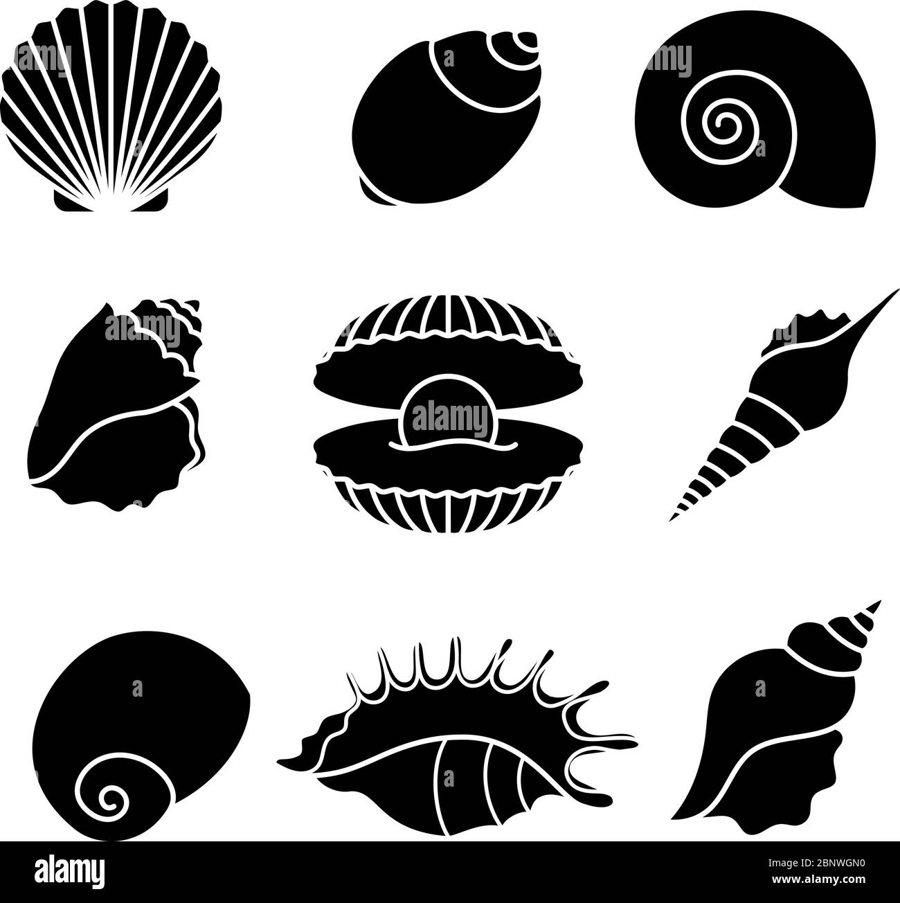 Coques de mer vectorielles et silhouettes de coquillages perlés isolées sur fond blanc Illustration de Vecteur