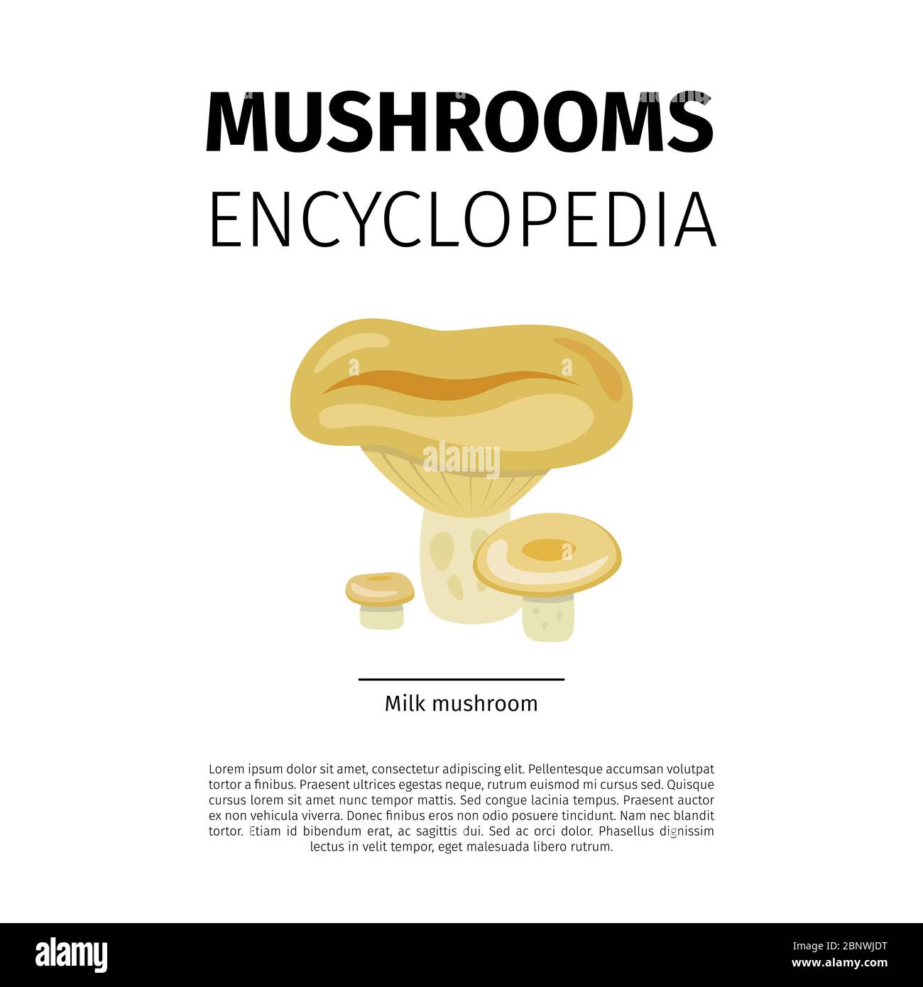 Conception vectorielle de l'Encyclopédie des champignons. Icône champignons du lait sur fond blanc Illustration de Vecteur