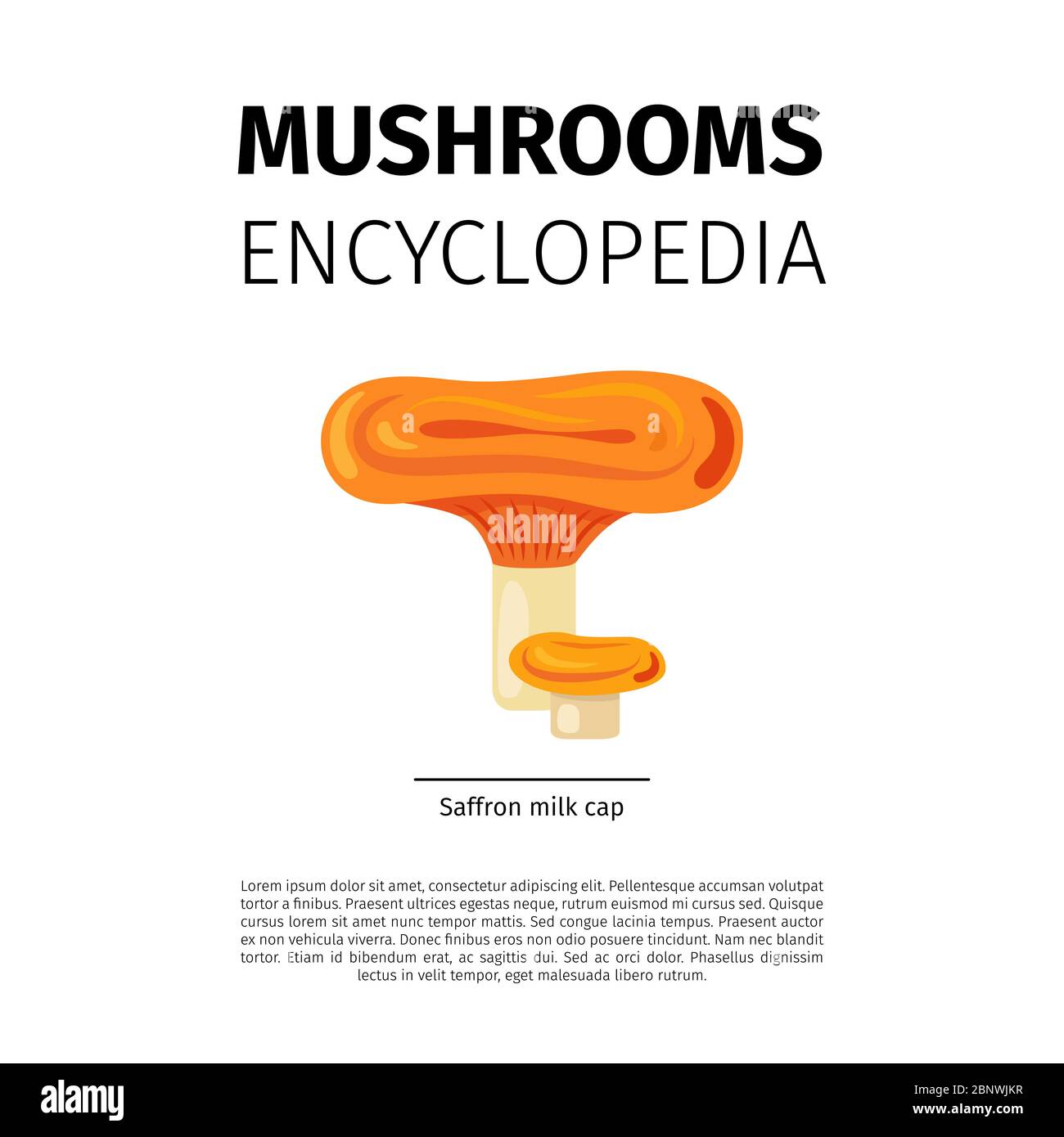 Conception vectorielle de l'Encyclopédie des champignons. Icône champignon de la capsule de lait de safran sur fond blanc avec texte Illustration de Vecteur