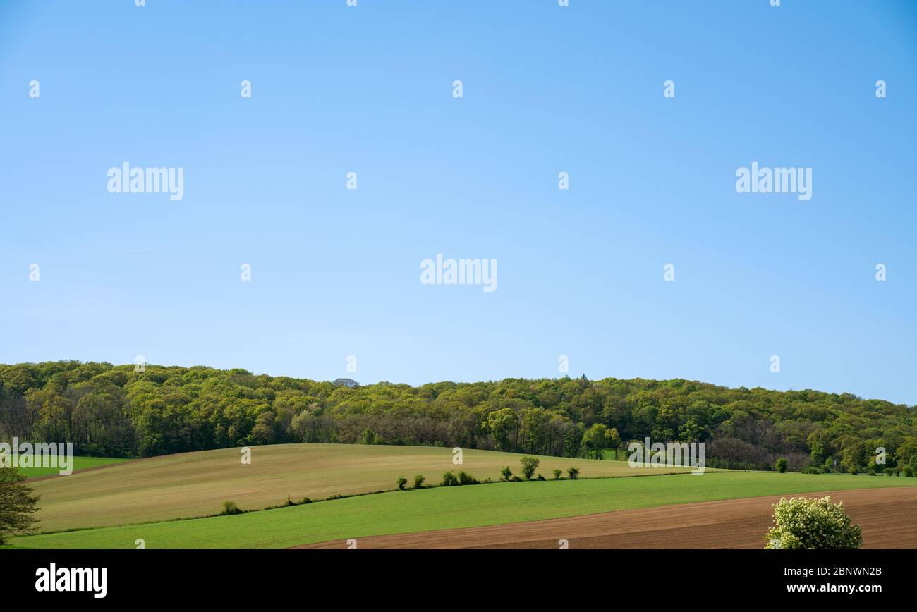 Vue panoramique du paysage contre ciel clair Banque D'Images