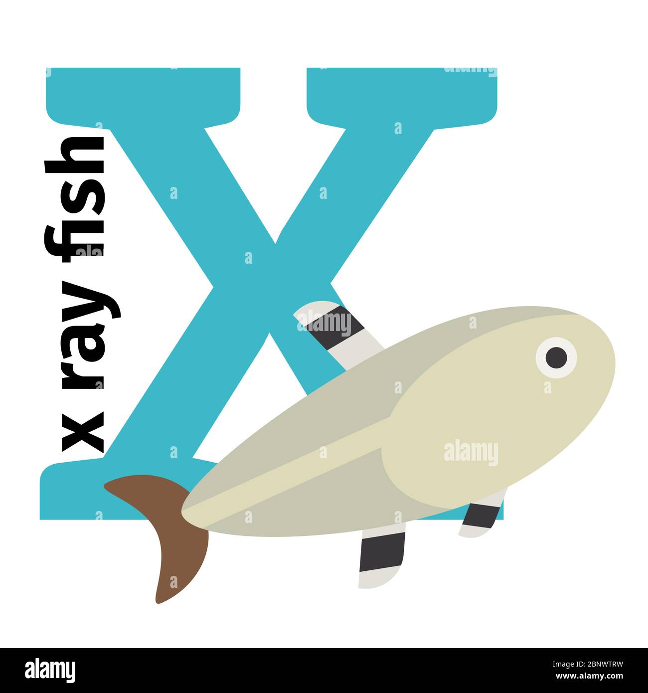 Alphabet anglais animaux zoo avec lettre X. X ray illustration du vecteur de poisson Illustration de Vecteur