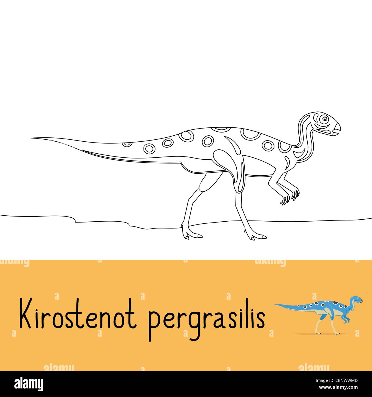 Page de coloriage pour enfants avec Kirostenot pergracilis dinosaure et aperçu coloré. Illustration vectorielle Illustration de Vecteur