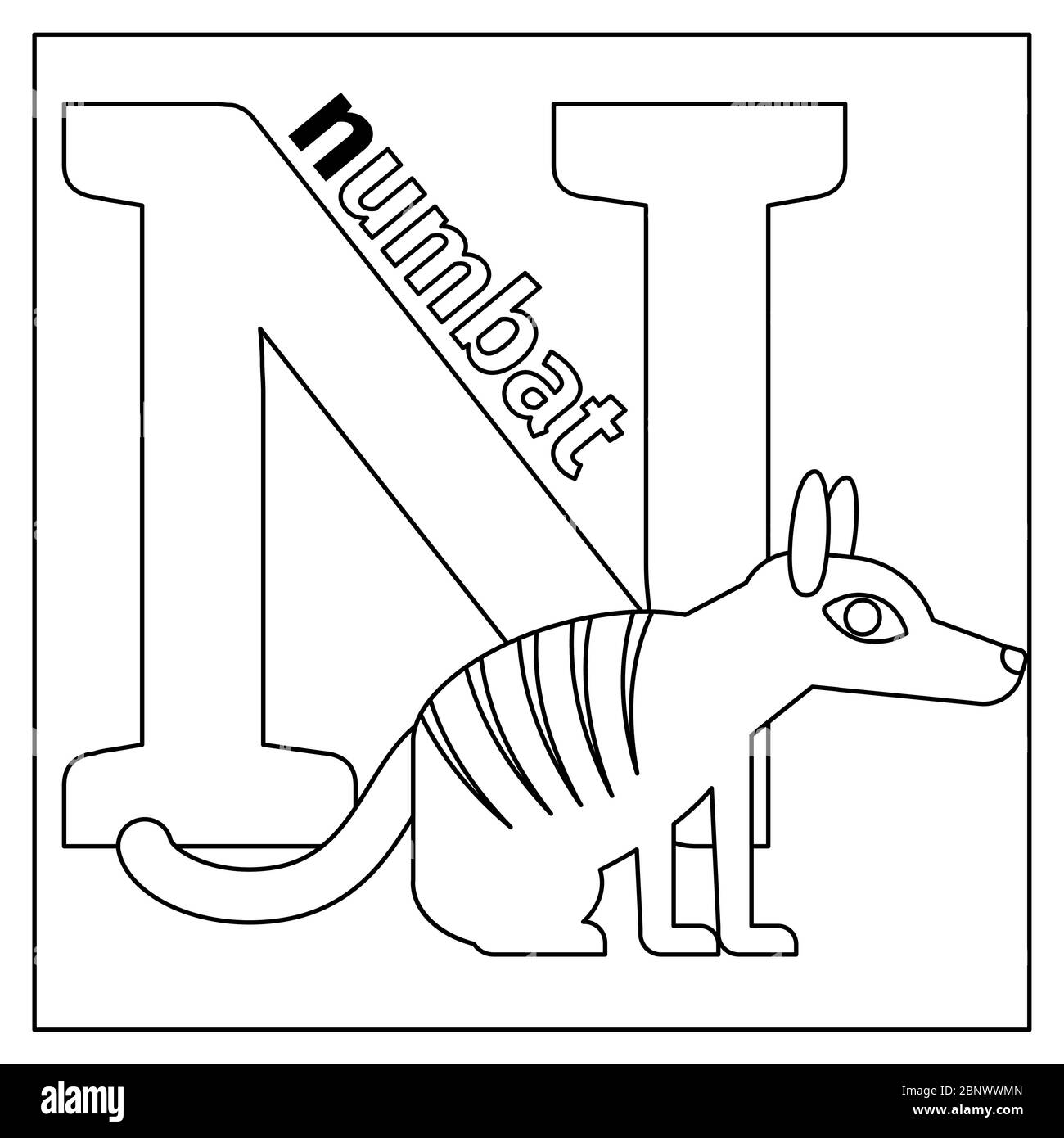 Page de coloriage ou carte pour enfants avec l'alphabet du zoo des animaux anglais. Numbat, illustration vectorielle lettre N. Illustration de Vecteur