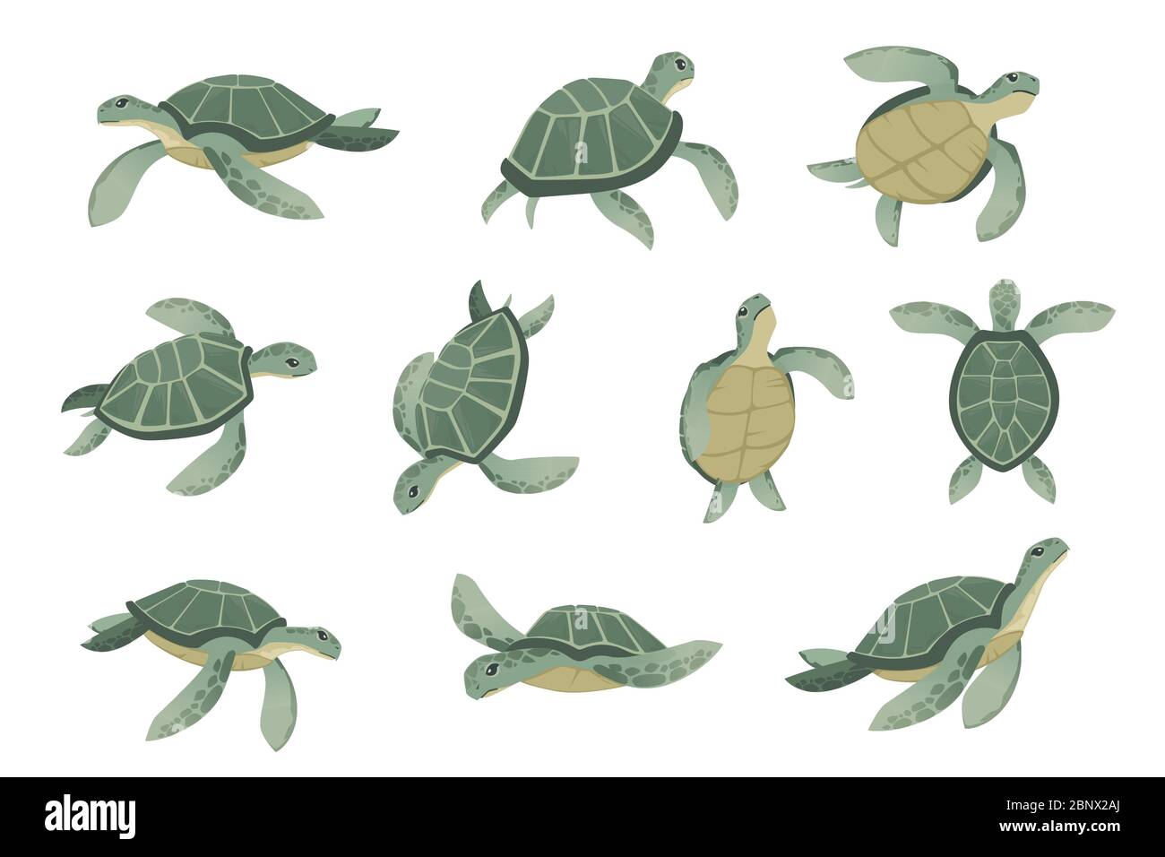 Ensemble de grande tortue de mer vert dessin animé animal mignon océan tortue natation dans l'eau plat vecteur illustration isolée sur fond blanc Illustration de Vecteur