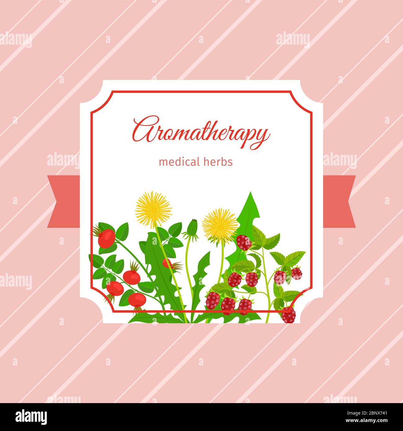 Motif d'étiquette d'herbes aromatiques. Pissenlit, framboise, herbes de la hanche roses. Illustration vectorielle Illustration de Vecteur