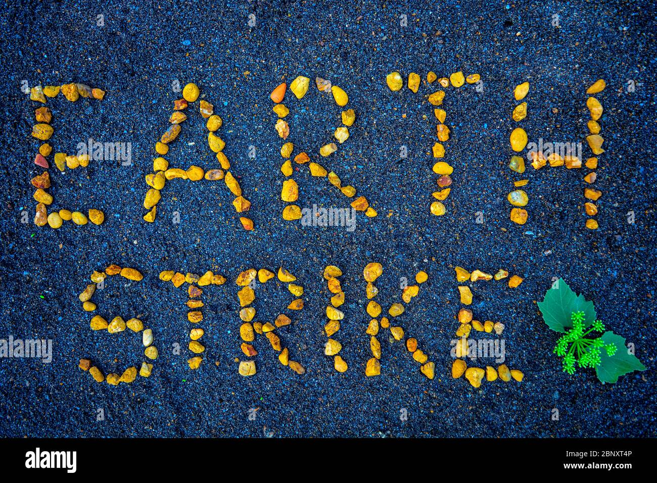 Earth Strike, texte élégant écrit avec des pierres orange, jaunes, sur asphalte noir et bleu avec des feuilles et des fleurs vertes. Symbole de protection de notre planète, Banque D'Images