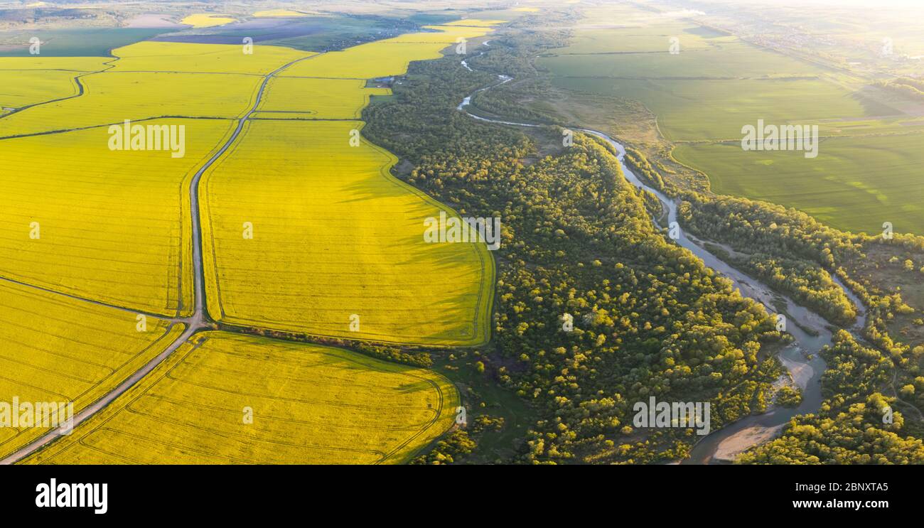 Envolez-vous à travers la rivière majestueuse, la forêt verdoyante et les champs de colza jaune en pleine floraison au coucher du soleil. Photographie de paysage Banque D'Images