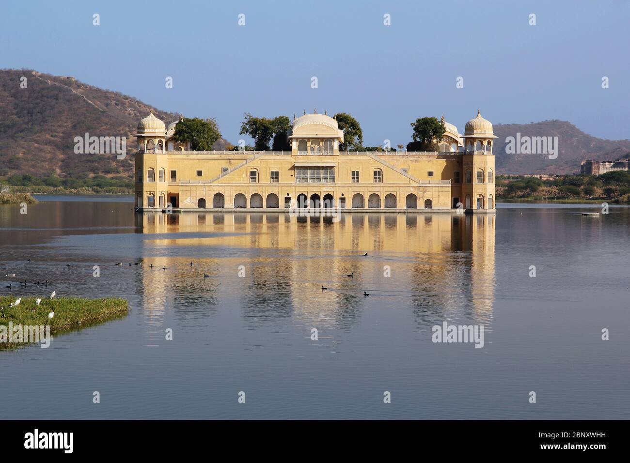Palais JAL Mahal au milieu du lac près de Jaipur, Inde. Banque D'Images Palais JAL Mahal au milieu du lac près de Jaipur, Inde. Banque D'Images