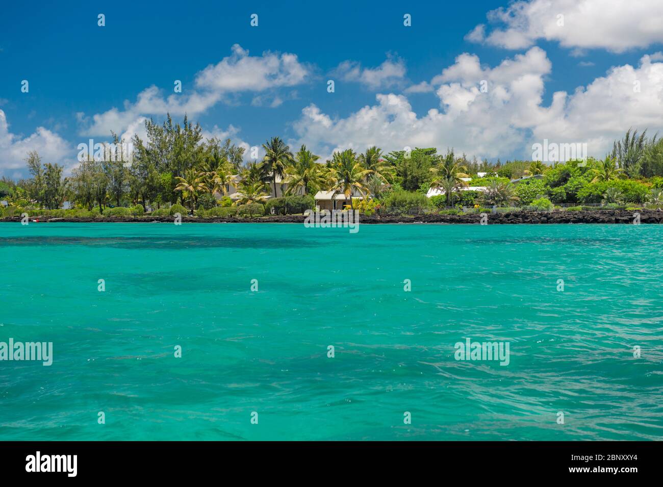 Plage de l'île tropicale avec palmiers et ciel nuageux ciel bleu. Nature Paysage Banque D'Images
