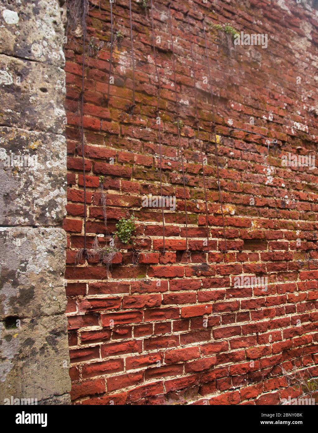 Appuldurcombe Park Walled Garden - détail de la brique anglaise du XVIIIe siècle et de la jetée d'angle en cendres Banque D'Images