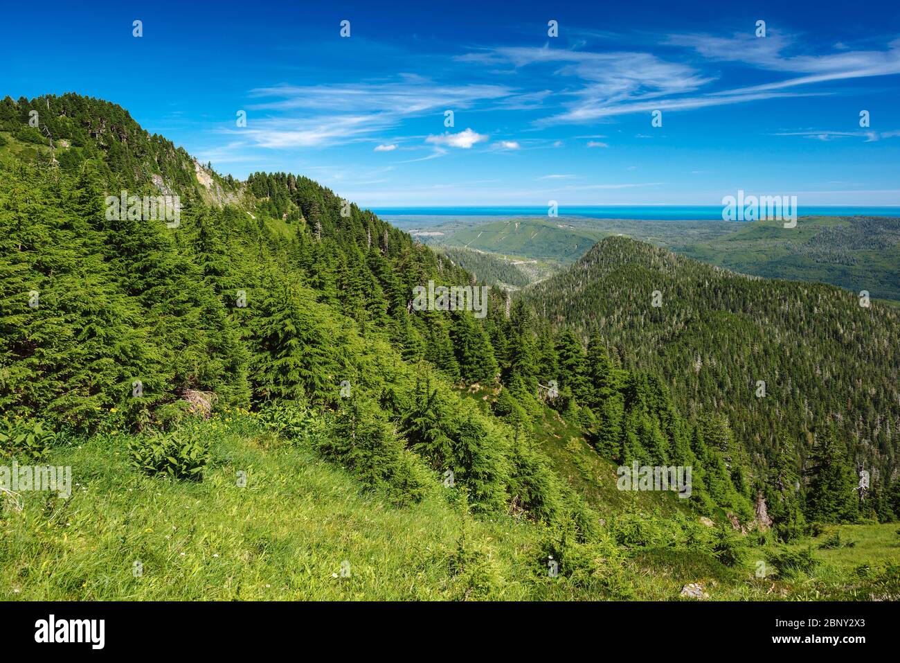 Vue depuis le Sentier Sleeping Beauty Trail, sur l'île Graham, Haida Gwaii, Colombie-Britannique, Canada. Banque D'Images