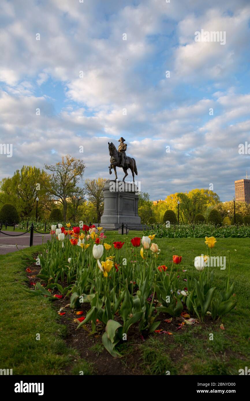 Boston, ma/USA, statue équestre de George Washington Banque D'Images