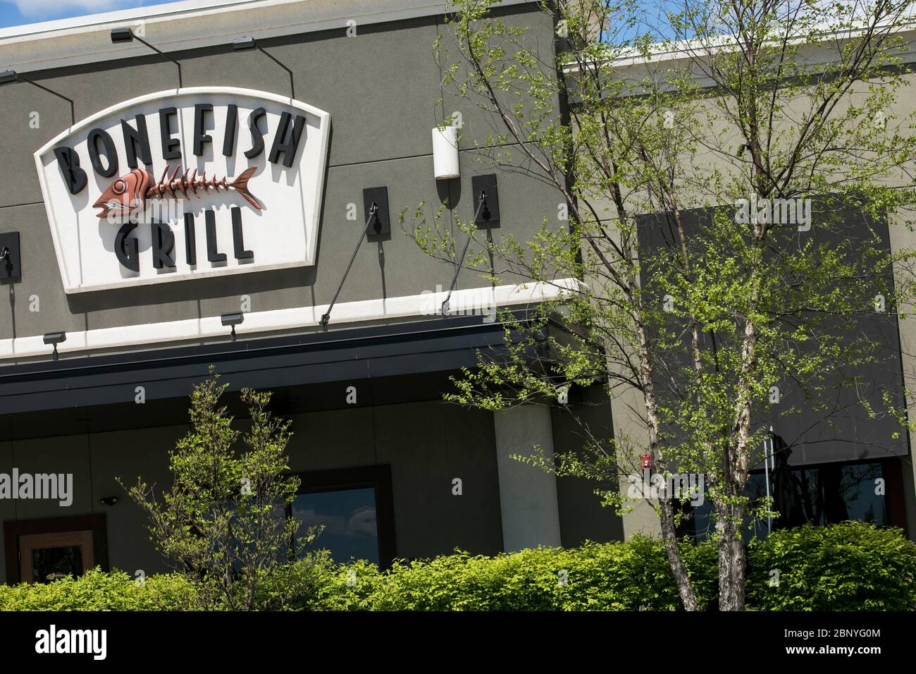Un logo à l'extérieur d'un restaurant Bonefish Grill à Camp Hill, en Pennsylvanie, le 4 mai 2020. Banque D'Images