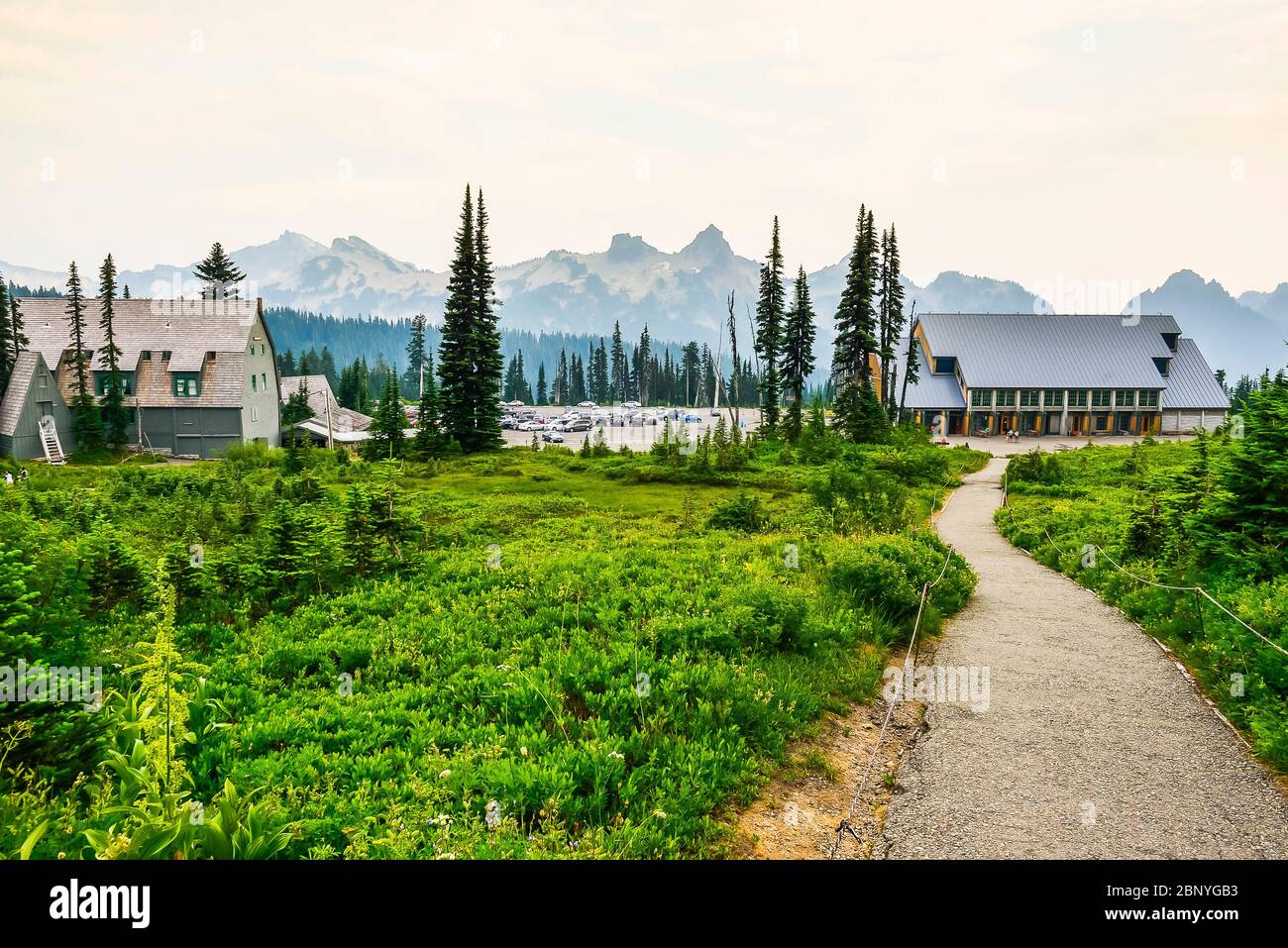 Chemin chemin,mt Rainier National Park, Washington, USA. Banque D'Images