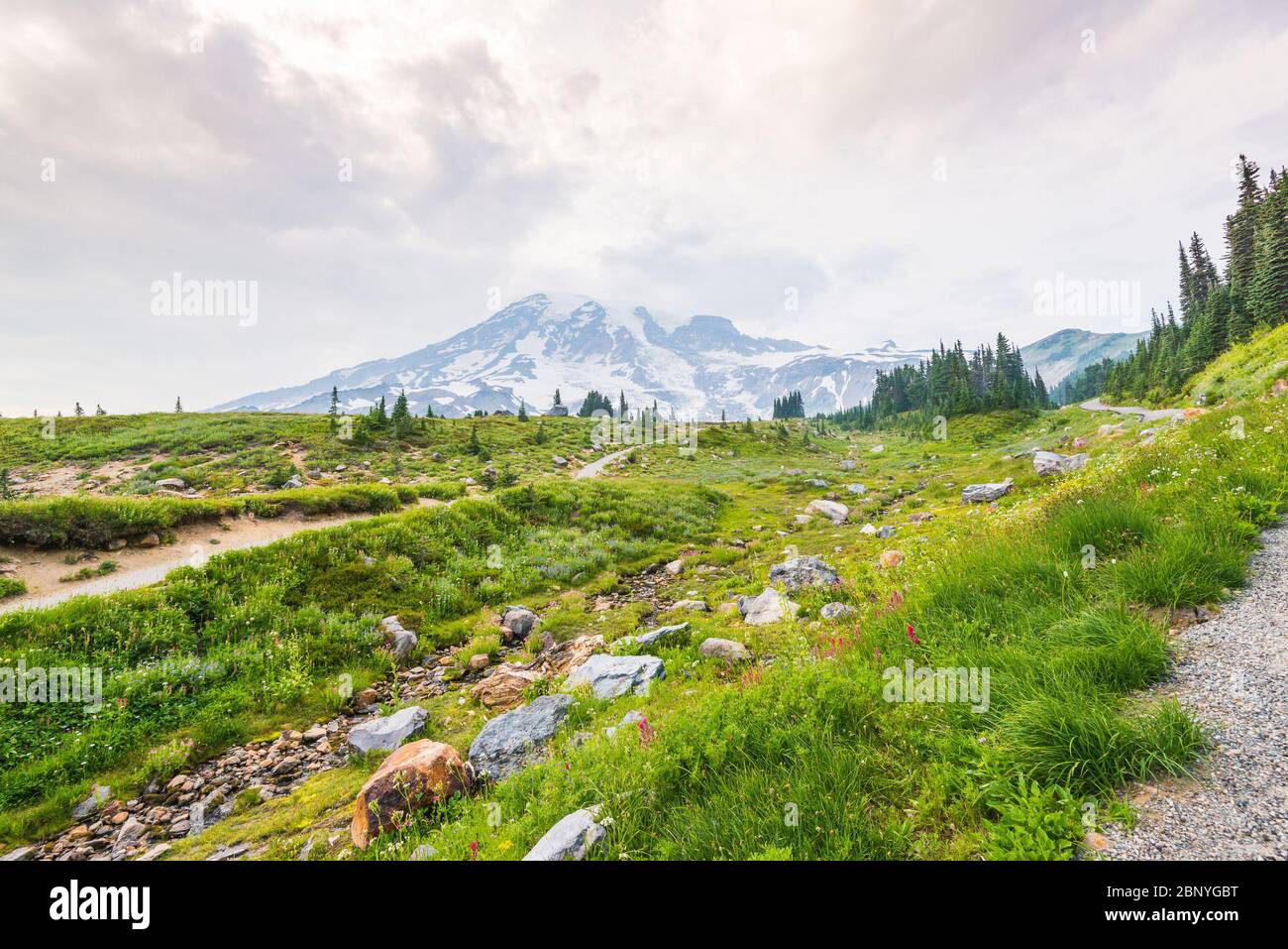 parc national du mont Rainier, Washington, états-unis. Banque D'Images
