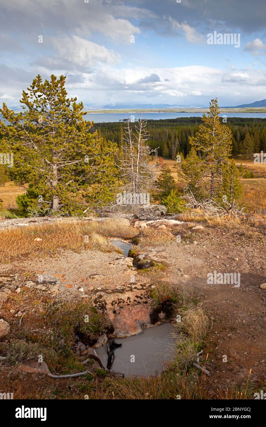 WY04375-00...WYOMING - sources d'eau chaude à la crête de la piste de Yellowstone Lake Overlook dans le parc national de Yellowstone. Banque D'Images
