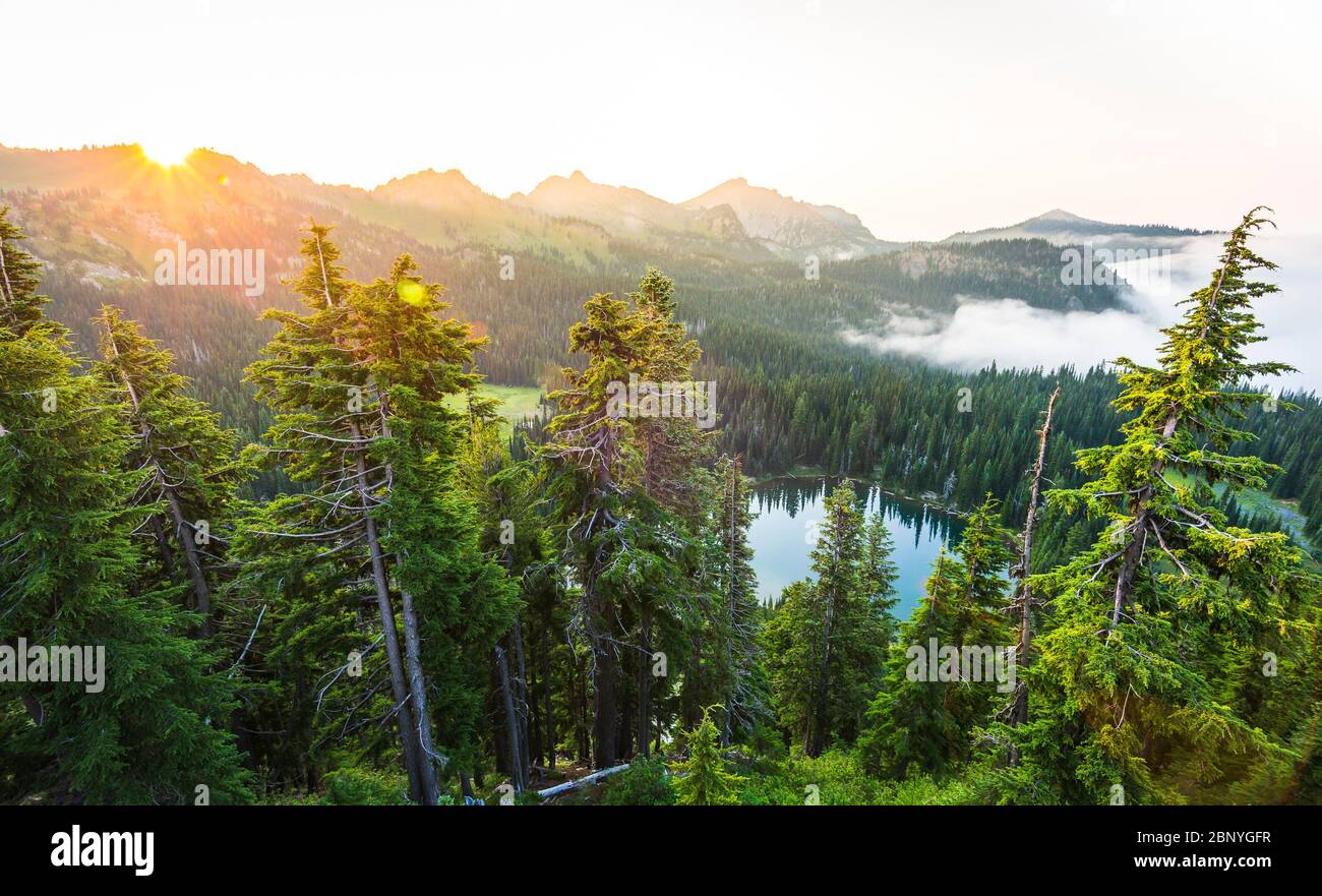 parc national du mont Rainier, Washington, états-unis. Banque D'Images