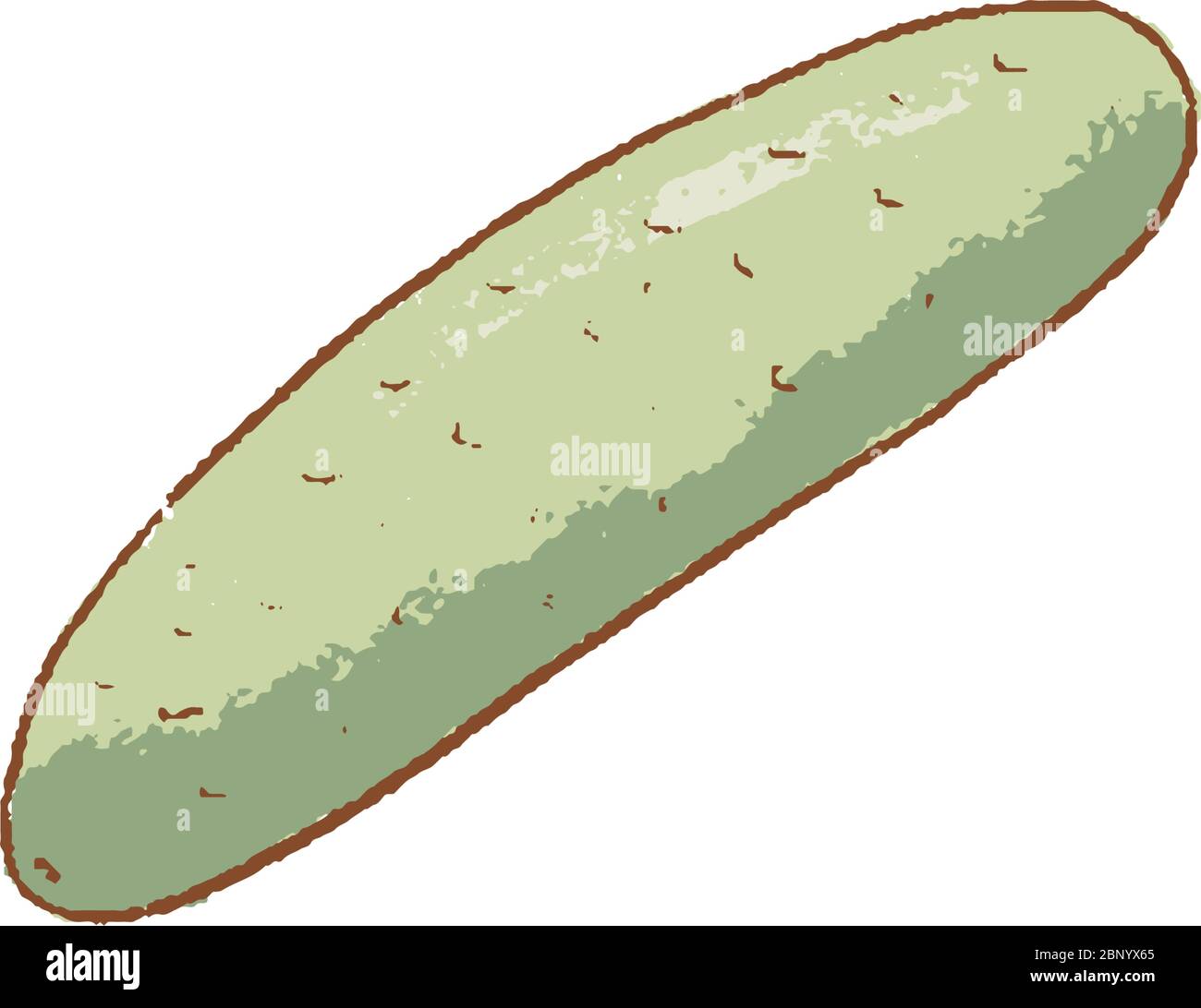 concombre frais, icône isolée de légumes. concombre pour le marché agricole, salade végétarienne de recette. Illustration vectorielle en style plat Illustration de Vecteur