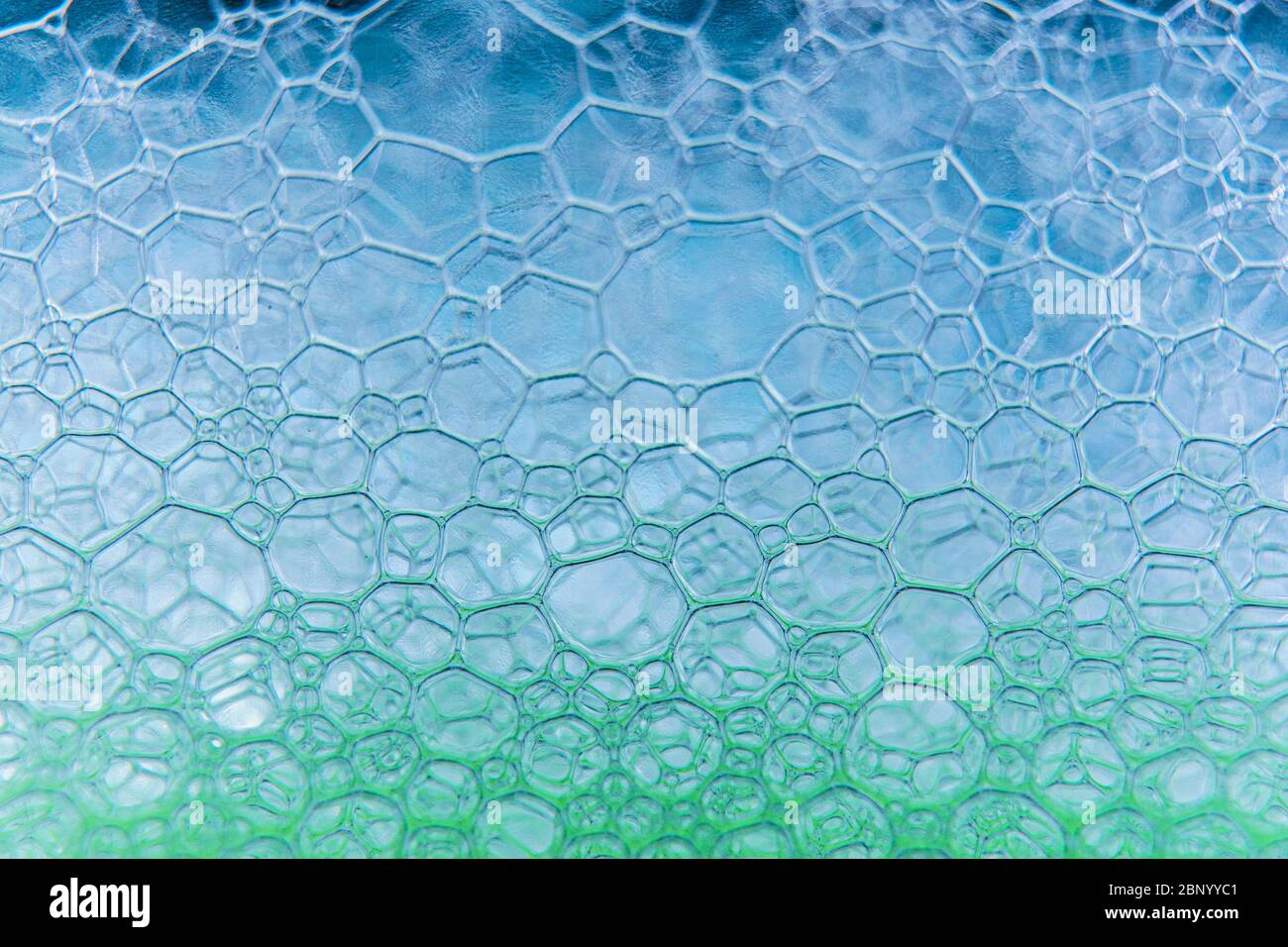Résumé macro Clean bleu mousse grenaille fond de bulles de savon avec des effets de réflexions de lumière et de couleur Banque D'Images