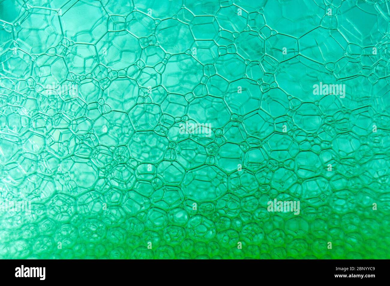 Résumé macro propre vert mousse grenaille fond de bulles de savon avec des effets de réflexions de lumière et de couleur Banque D'Images