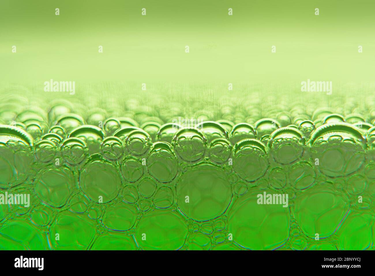 Résumé macro propre vert mousse grenaille fond de bulles de savon avec des effets de réflexions de lumière et de couleur Banque D'Images