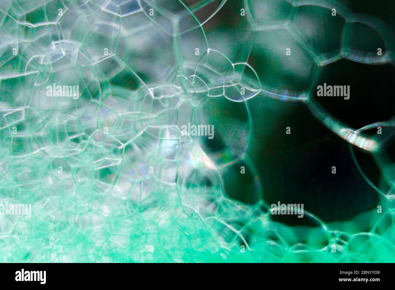 Résumé macro propre vert mousse grenée arrière-plan des bulles de savon Banque D'Images