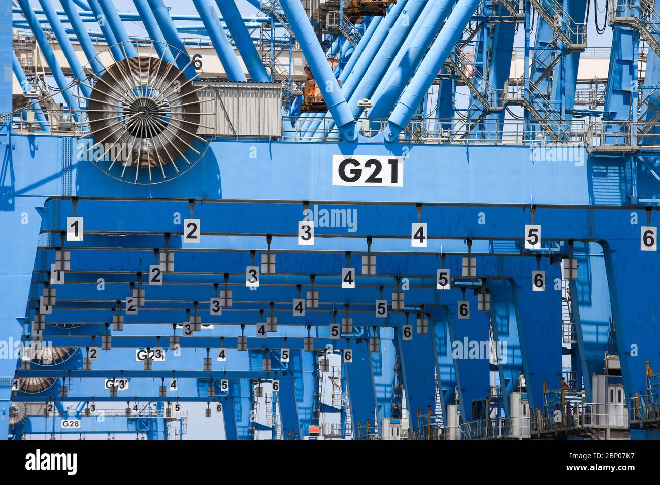 Plusieurs grues de portainer alignées ensemble à un port local. Banque D'Images