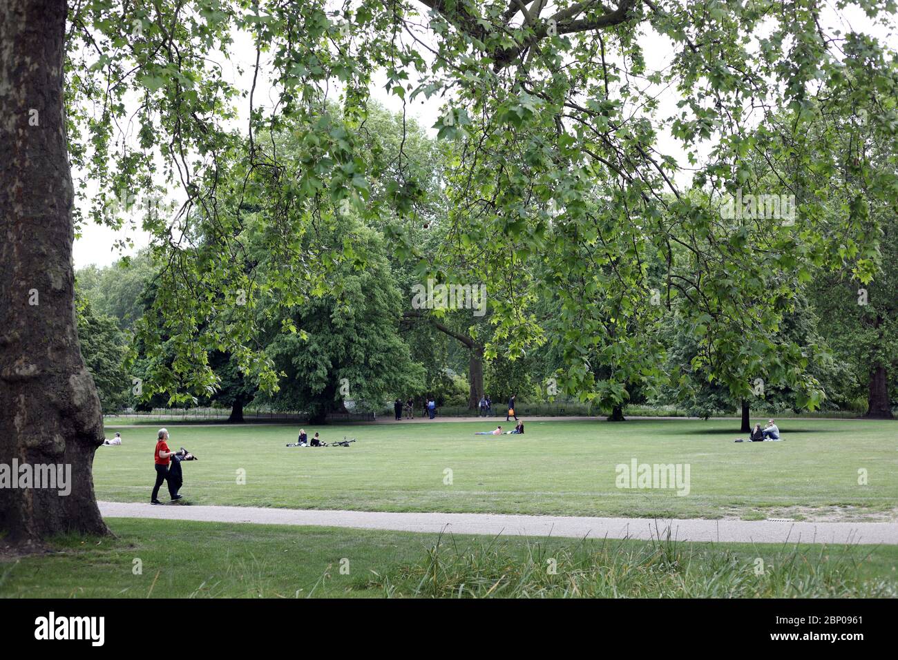 Londres, Royaume-Uni. 16 mai 2020. Cinquante-quatre jours de Lockdown, à Londres. Le parc St. James' n'était pas très fréquenté juste avant le déjeuner aujourd'hui. C'est le premier week-end d'un léger relâchement du verrouillage en Angleterre, le message du gouvernement est maintenant « alerte » au lieu de « vive à la maison ». Maintenant vous pouvez sortir plus, jouer au golf, aller à la pêche, et visiter les centres de jardin, mais les mesures sociales de distance devraient toujours être maintenues. Le pays a été verrouillé en raison de la pandémie du coronavirus COVID-19. COVID-19 coronavirus LockDown, Peterborough, Royaume-Uni, on 16 mai 2020 crédit: Paul Marriott/Alay Live News Banque D'Images