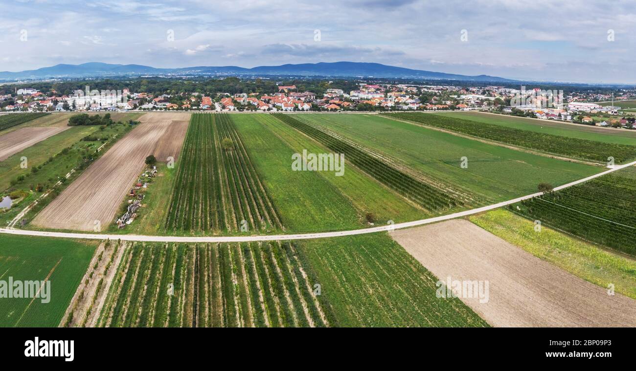 Région viticole du Burgenland près du lac Neusiedl. Belle vue panoramique de l'Autriche. Banque D'Images