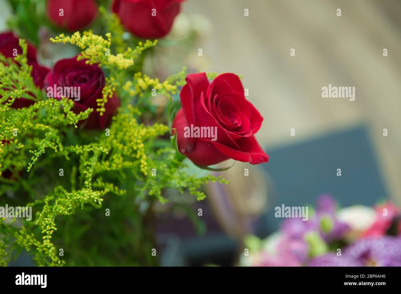 Contexte de la Saint-Valentin, jour du mariage. Les roses rouges fleuries fleurissent sur fond de bokeh hexagonal roué. Banque D'Images