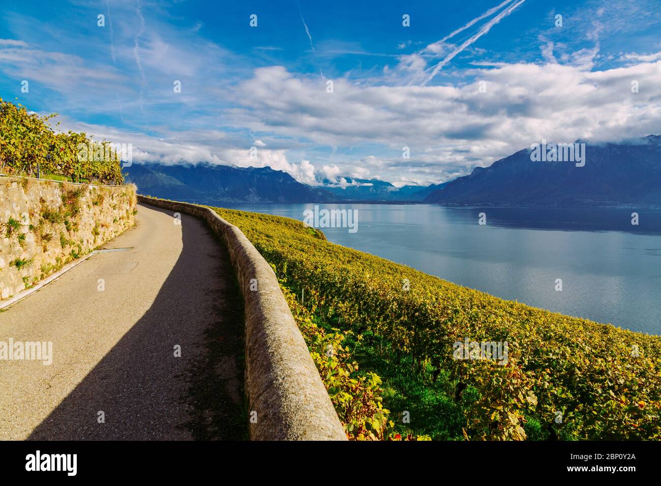 Lavaux Vineyard terrasses sentier de randonnée avec le paysage du lac Léman, Canton de Vaud, Suisse Banque D'Images