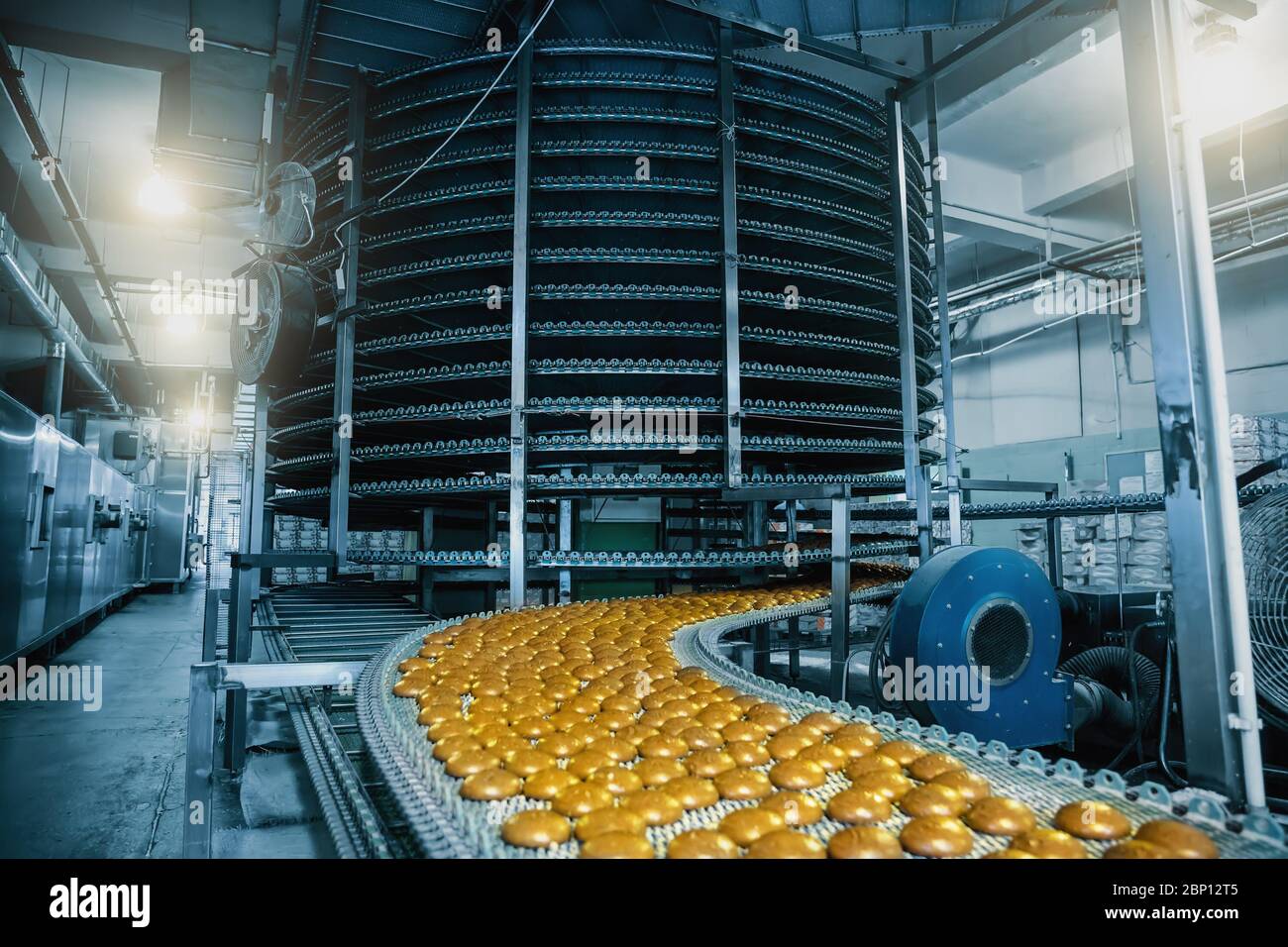 Tapis transporteur automatique avec gâteaux, processus de cuisson dans l'usine de confiserie. Industrie alimentaire, tonifiée Banque D'Images