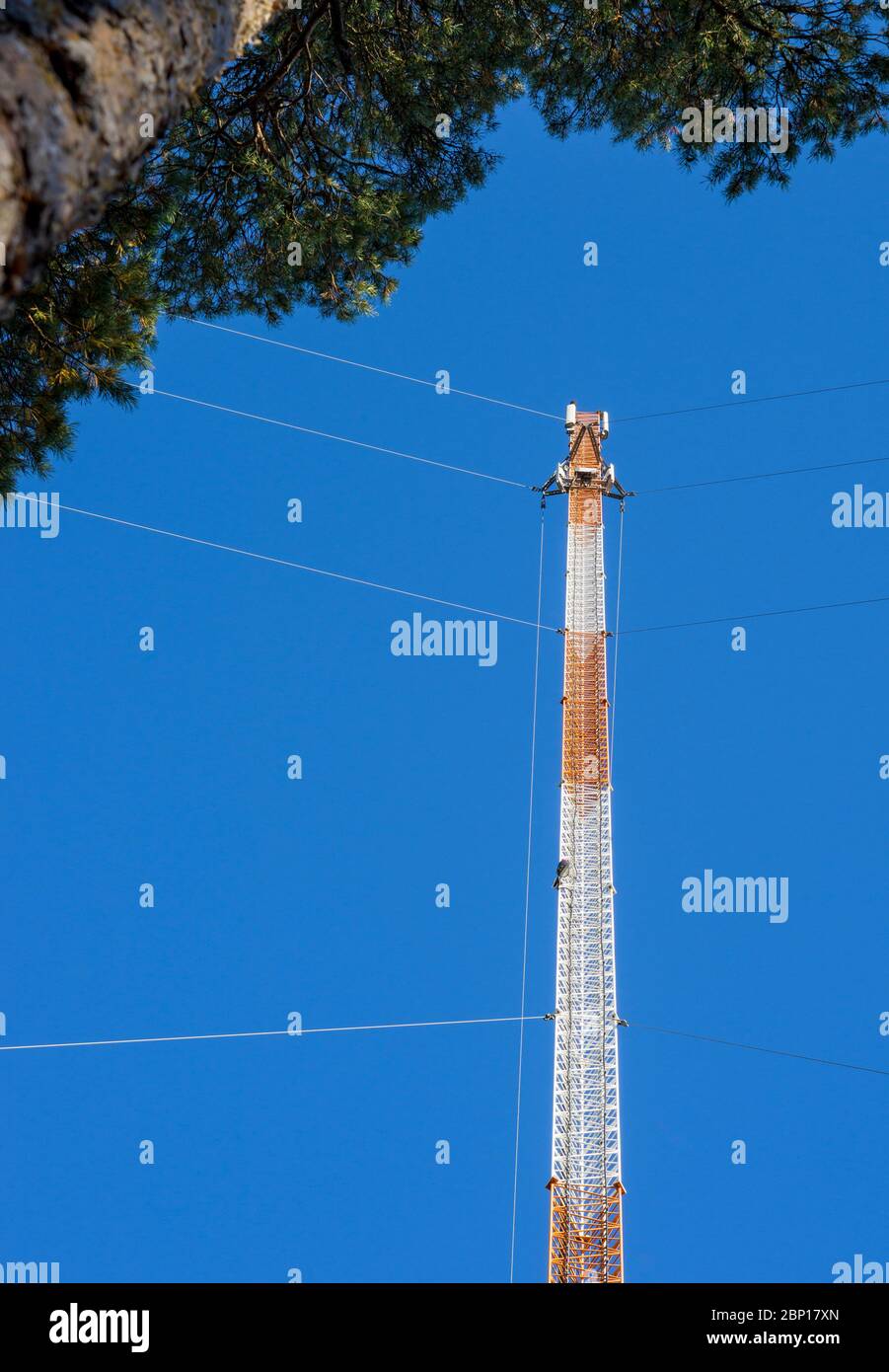 Réseau cellulaire station de base ' s guyed antenne tour , Finlande Banque D'Images