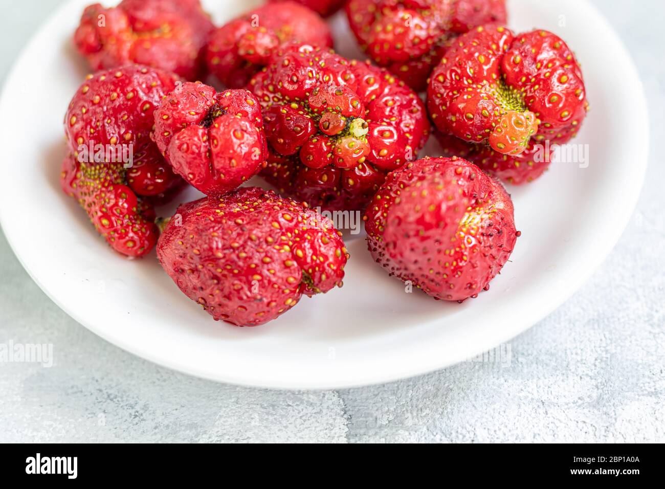 Produit naturel laid de fraises sur un plat blanc, rouge mûr et formes étranges sur fond gris. Une cuisine à la mode et insupportable. Étrange drôle imparfait Banque D'Images