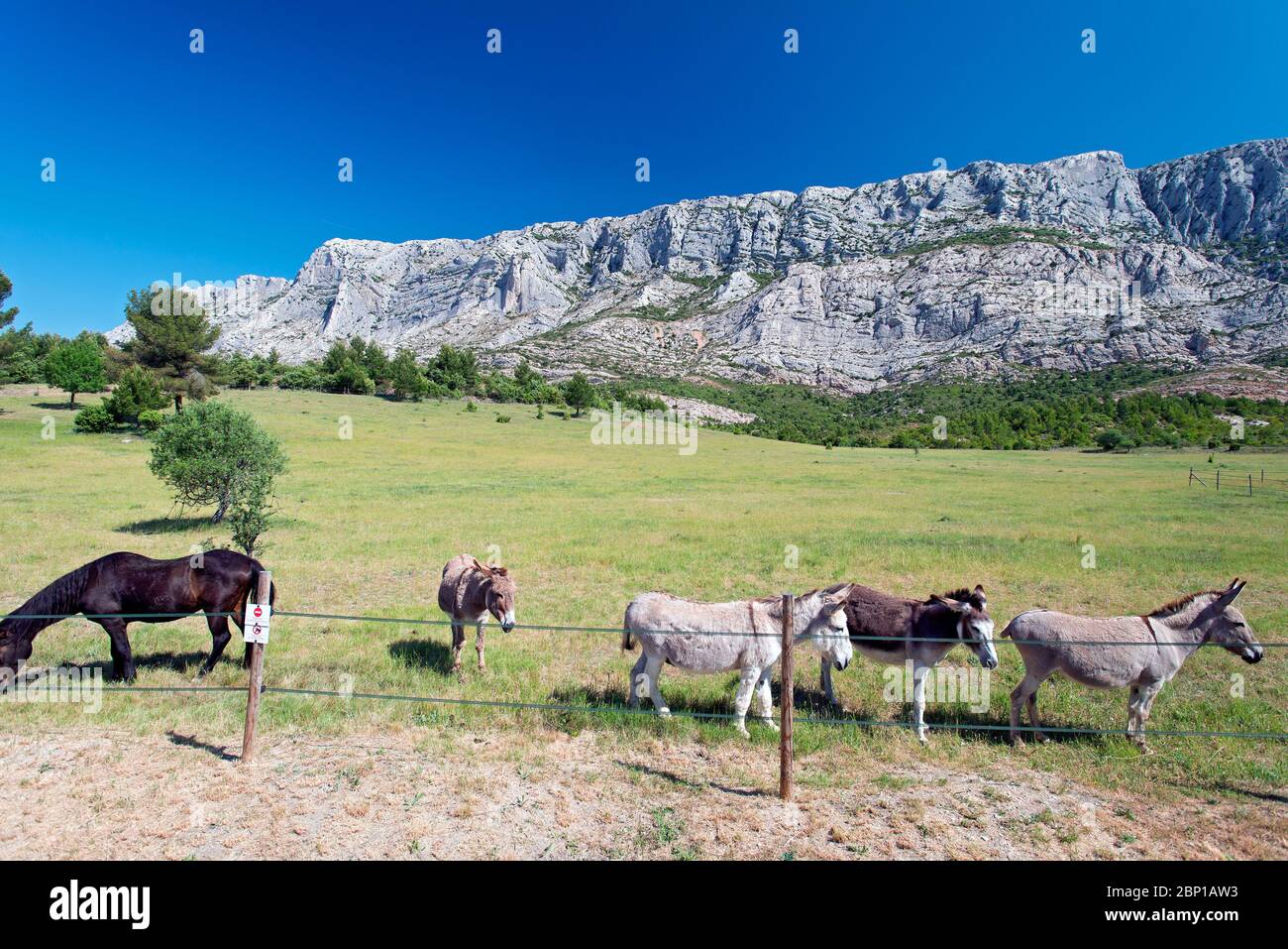 La montagne Sainte victoire est un massif montagneux du sud de la France, célèbre pour ses peintures. Banque D'Images