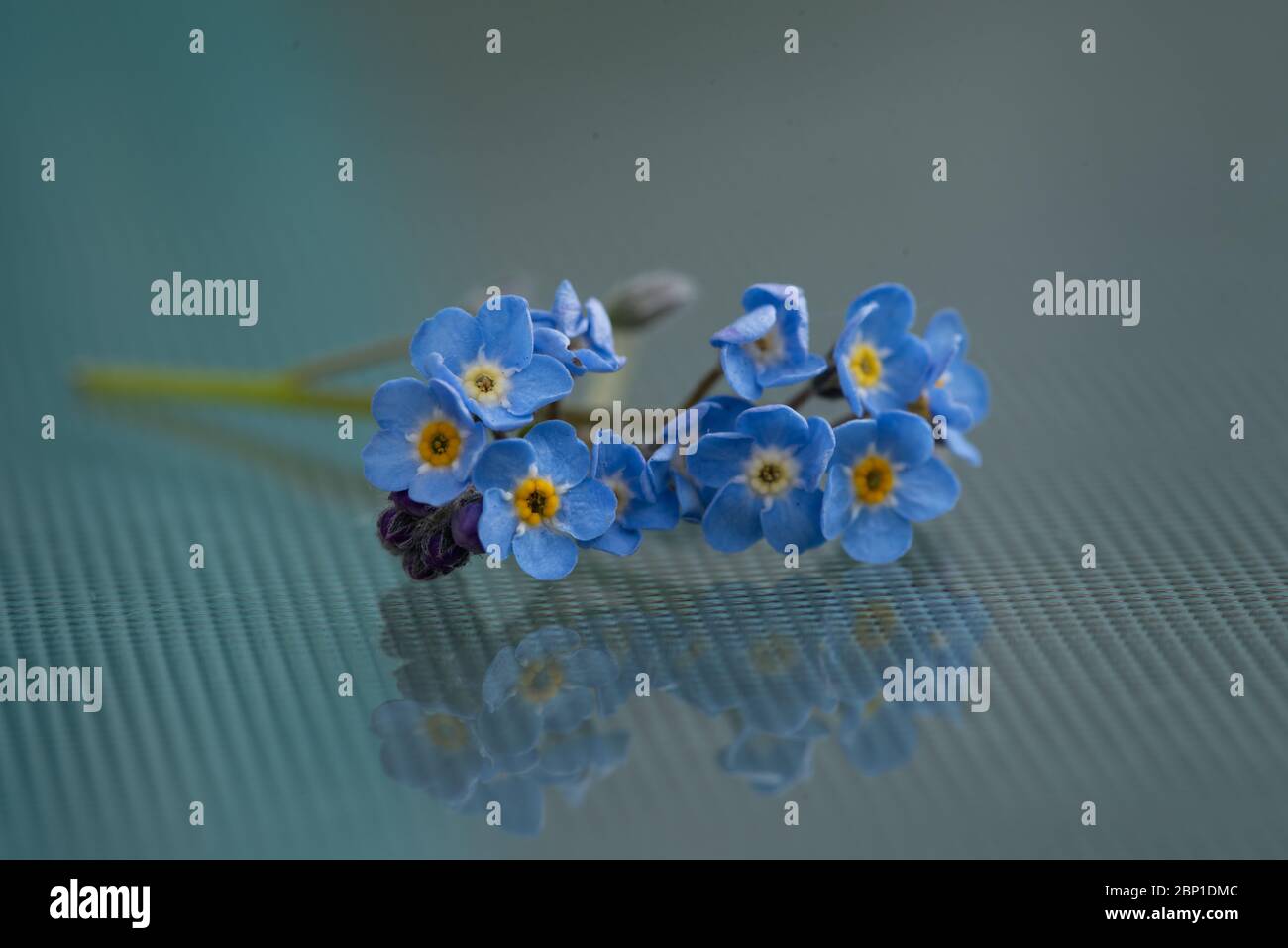 Art floral Banque D'Images