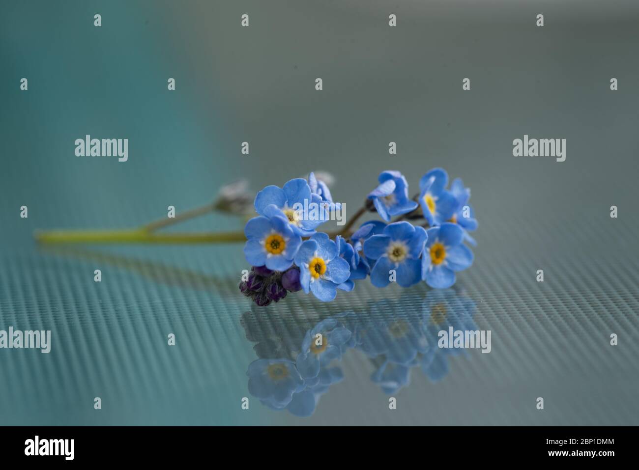 Art floral Banque D'Images