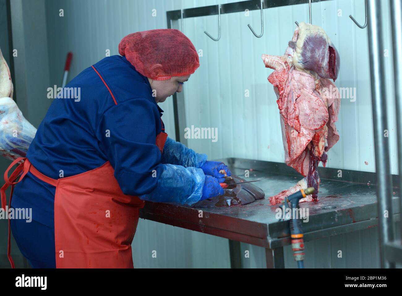 Femme travaillant à couper le foie d'un animal abattu avec un couteau. Département de découpe de viande de l'abattoir. 24 avril 2019. Kiev, Ukraine Banque D'Images